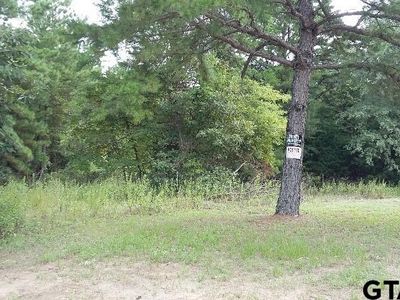 LOT 441 Regal Row #442, Flint, TX, 75762