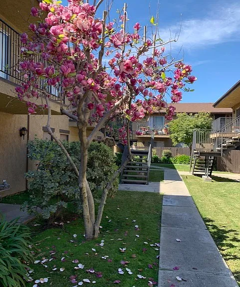 Nicholson Gardens — Photo 15