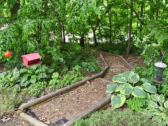 Garden Path in Backyard