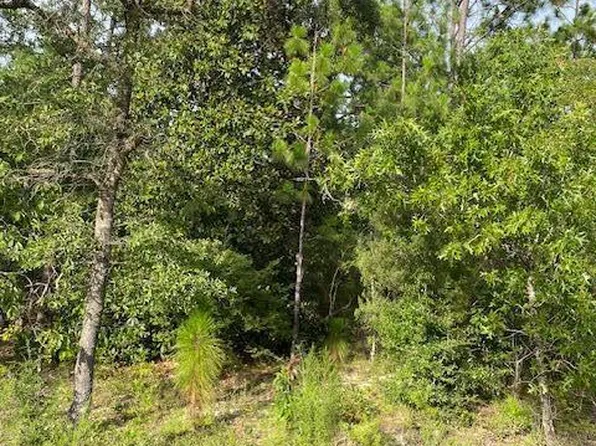 0 Largo St, Alford, FL 32420
