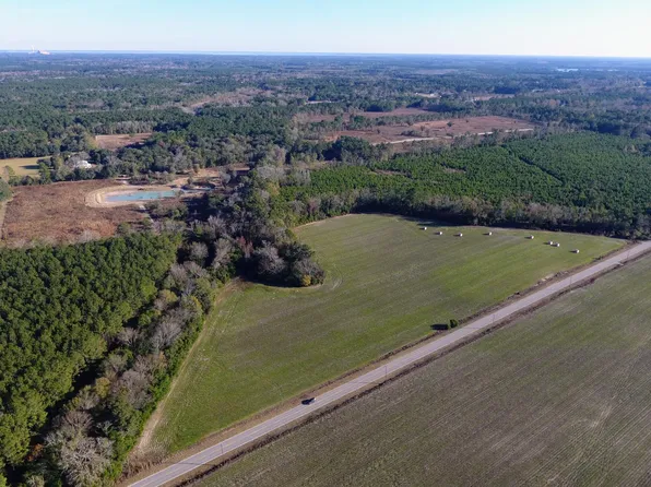 0 Rocks Pond Rd Lot W, Eutawville, SC 29048