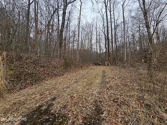 3rd image of Wilderness Rd