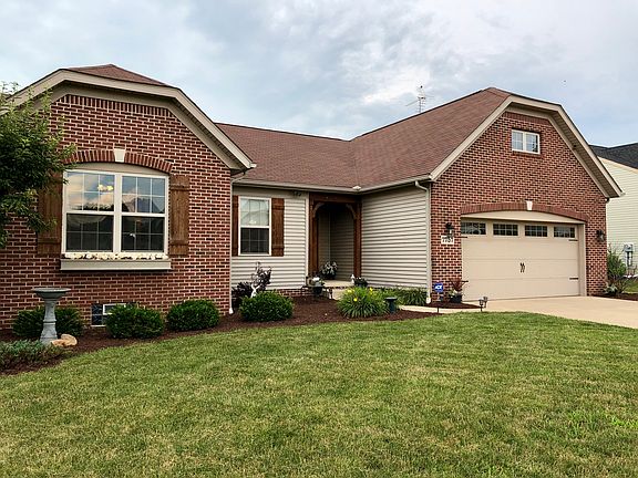 Apple tree in front yard