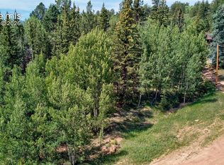 158 Rattler Ct, Cripple Creek, CO 80813