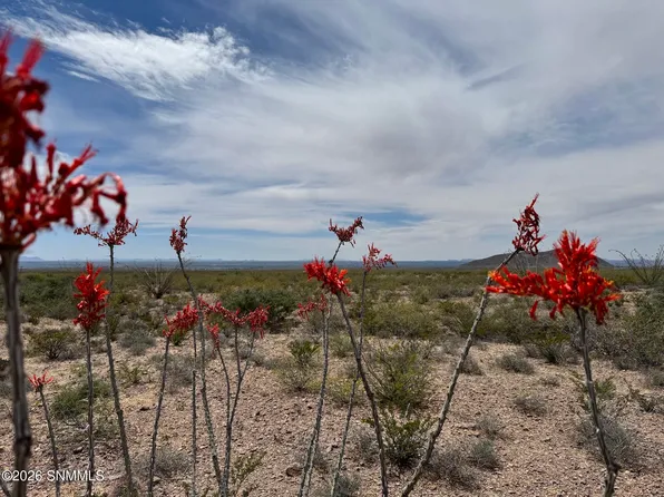 Hardrock Rd, Las Cruces, NM 88011