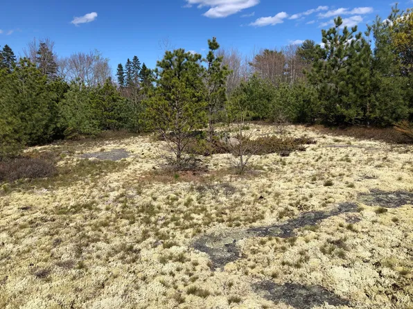 365 Coastal Road, Brooksville, ME 04617