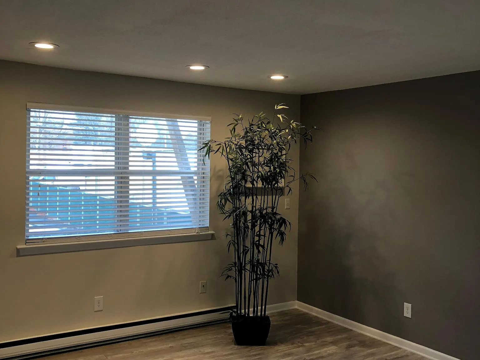 1095 Old Colony Rd — Photo 4