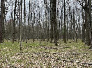 7375 N Hans Rd, Irons, MI 49644