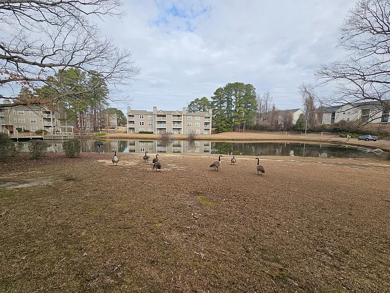 698 Bartons Landing Pl #3 — Photo 18