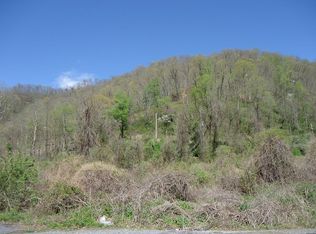 37 Sandy Huff Rd, Iaeger, WV 24844