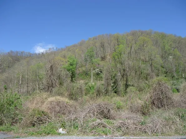 37 Sandy Huff Rd, Iaeger, WV 24844