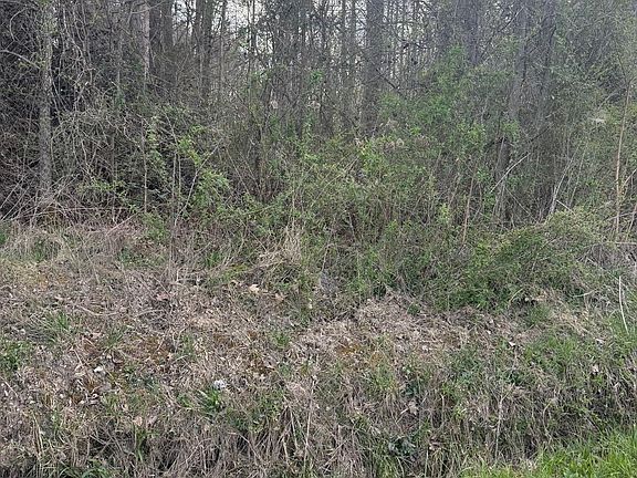 2nd image of 97.32 Griffith Rd