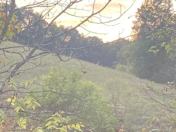 714 Old 19, Brooksville, KY 41004