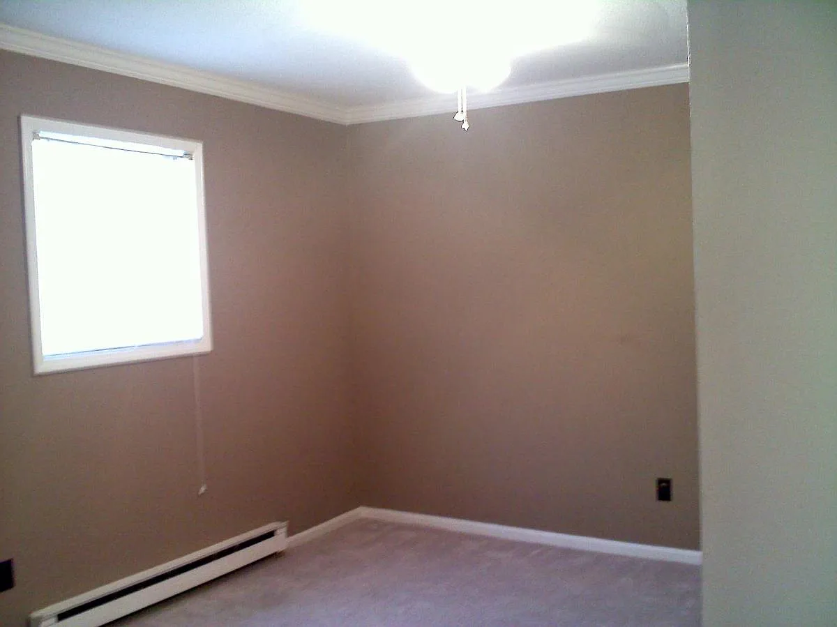 1 bed, $800 — Photo 4