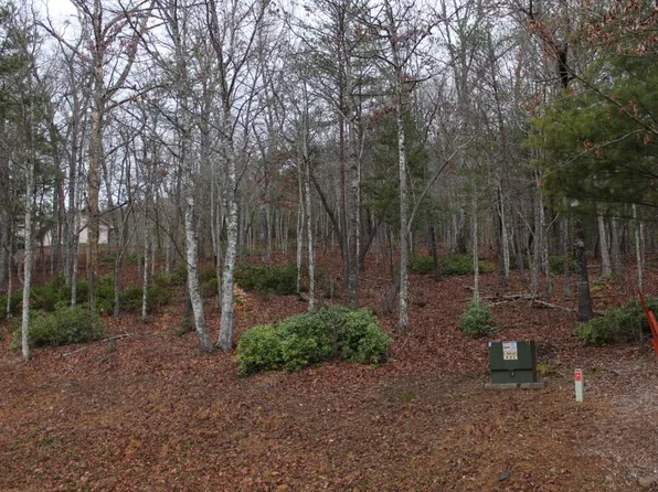 2 Thunder Rd, Hayesville, NC 28904