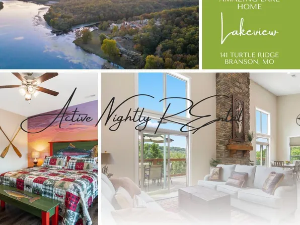 141 Turtle Rdg Drive, Branson, MO 65616