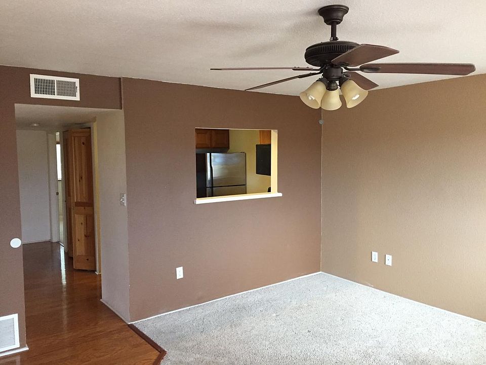 Designer Paint in Living Room
