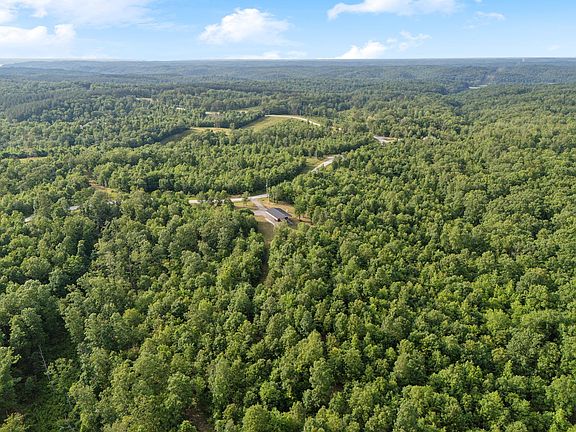 4th image of 1635 Bear Hollow Dr