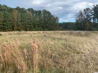 0 County Line Rd, Andrews, SC 29510