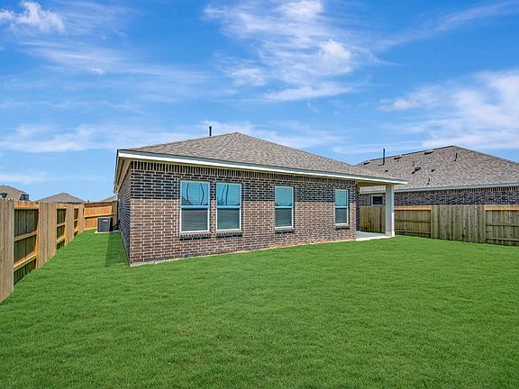 Backyard - May 2, 2026