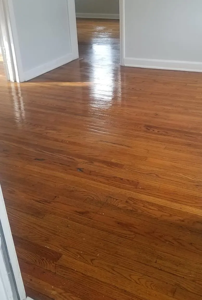 2 bed, 750 sqft, $895 — Photo 2