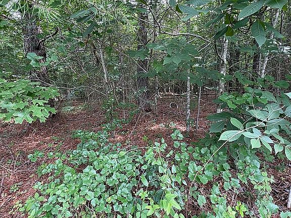 5th image of 284 Mountain View Cir
