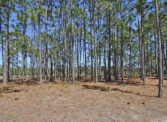 4th image of 3156 Moss Hammock Wynd LOT 84