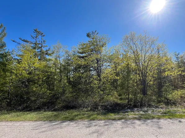 LOT 165 Pineview Dr, Presque Isle, MI 49777