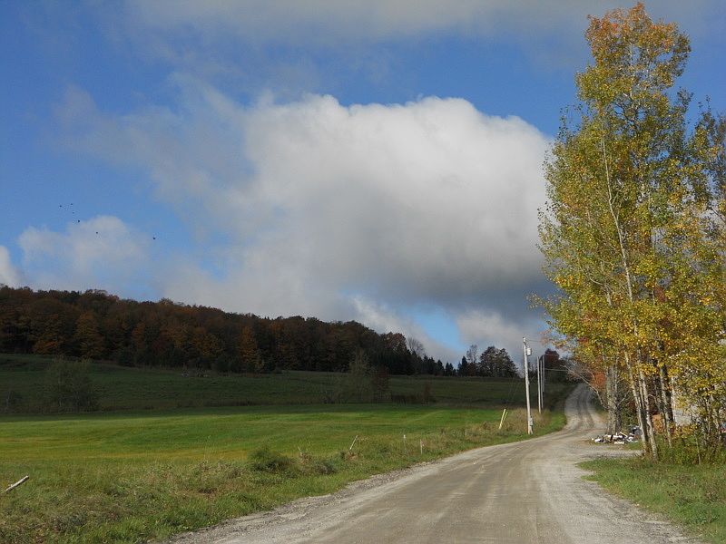 1st image of 10.1 Beautiful Acres #Crawford