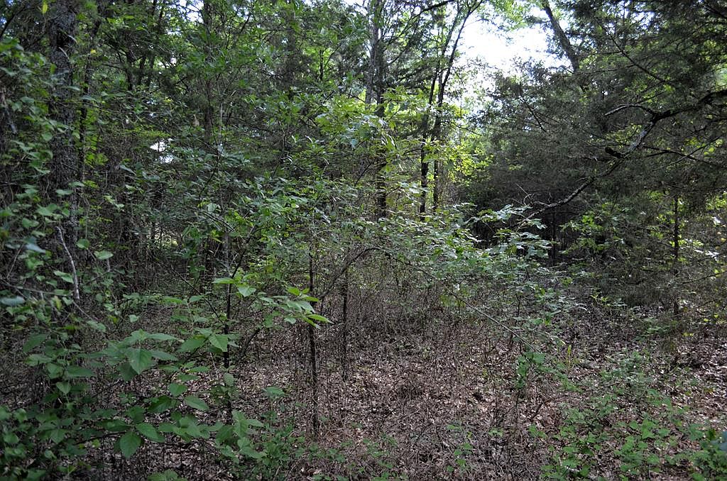 carousel photo #3 (MLS)