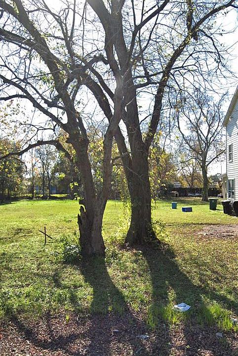 1st image of 5034 Mallow St