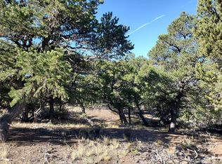 7195 Speer Rd #7195, Fort Garland, CO 81133