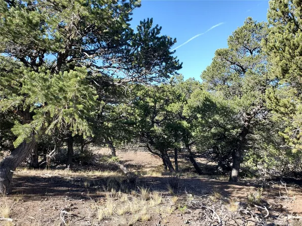 7195 Speer Road LOT 7195, Fort Garland, CO 81133