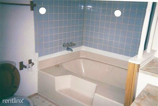 1741 Cedar Dr, Lake, MI 48632 Bath