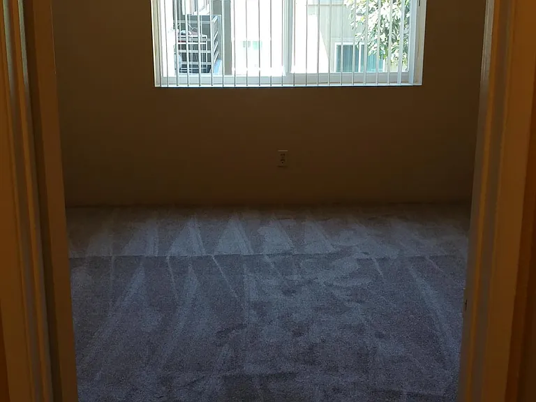 7425 Charmant Dr #2814 — Photo 12