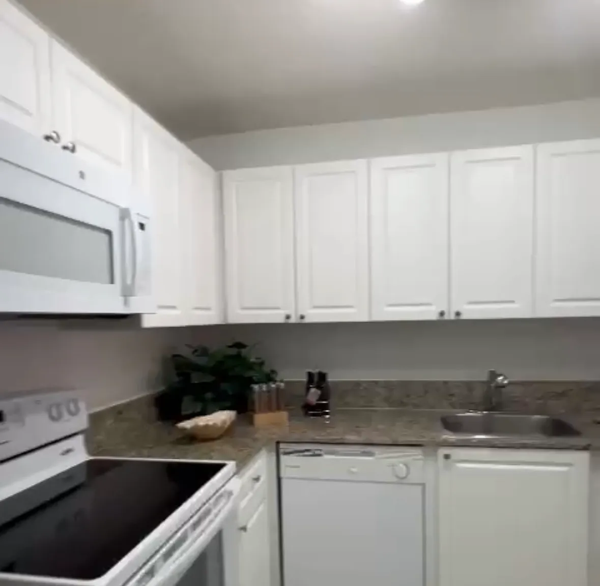 1 bed, 800 sqft, $1,990 — Photo 2