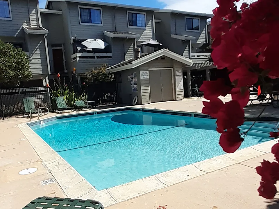 6886 Chantel Ct