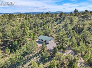 456 Oxford Dr, Hartsel, CO 80449