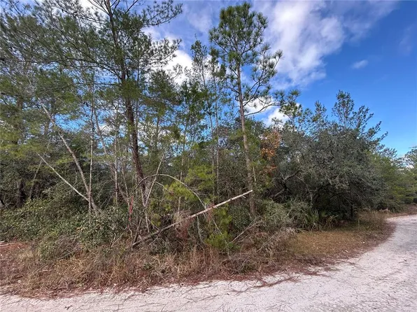 NE 236th Pl #15, Fort Mc Coy, FL 32134
