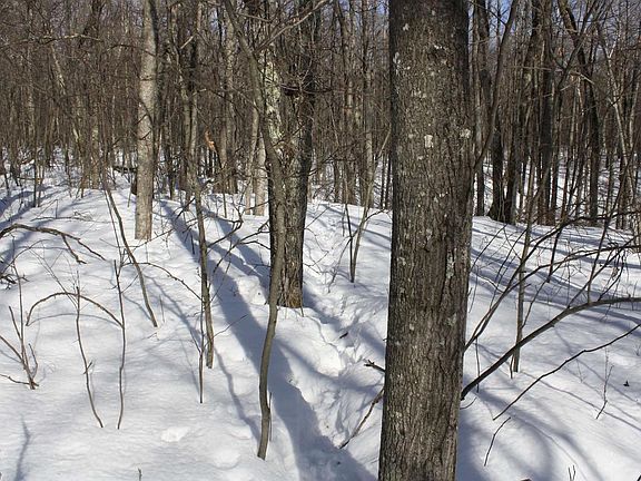 2nd image of On West Rapids Road