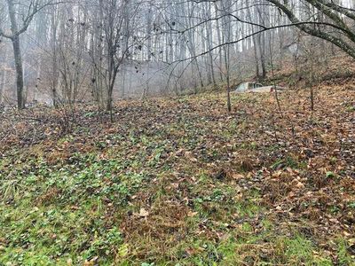 273 McQueen Hollow Rd, Johnson City, TN, 37601