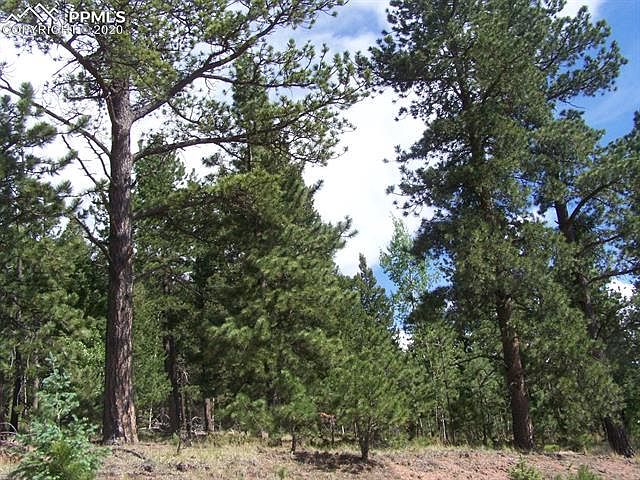 2nd image of 2403 Rampart Range Rd