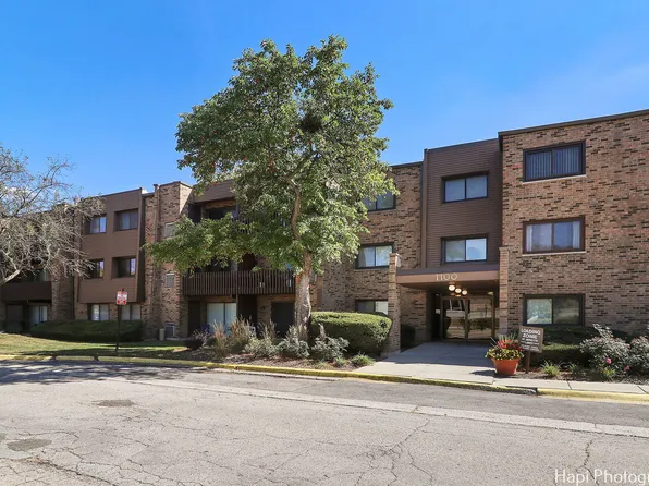 1100 E Randville Dr Unit 103, Palatine, IL 60074