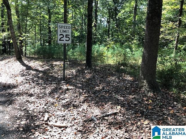 2nd image of 334 Warrior River Highland Rd #1.6