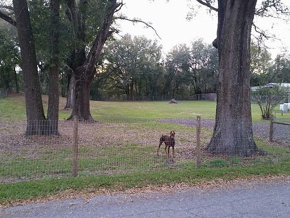 Large fenced yard