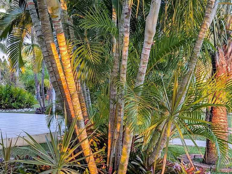 14 Villa Taina Guarionex Boqueron — Photo 51