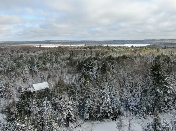 Lot 4 Lower Drew Road, Drew Plt, ME 04497