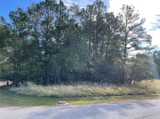 40 Knight Ln, Coldspring, TX 77331