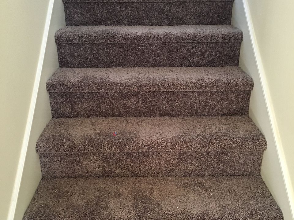 Brand new carpeting throughout