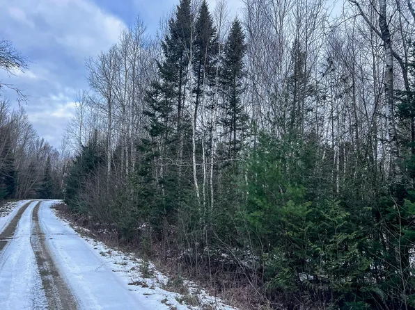Lot 12 Woodland Ridge Road, Danforth, ME 04424